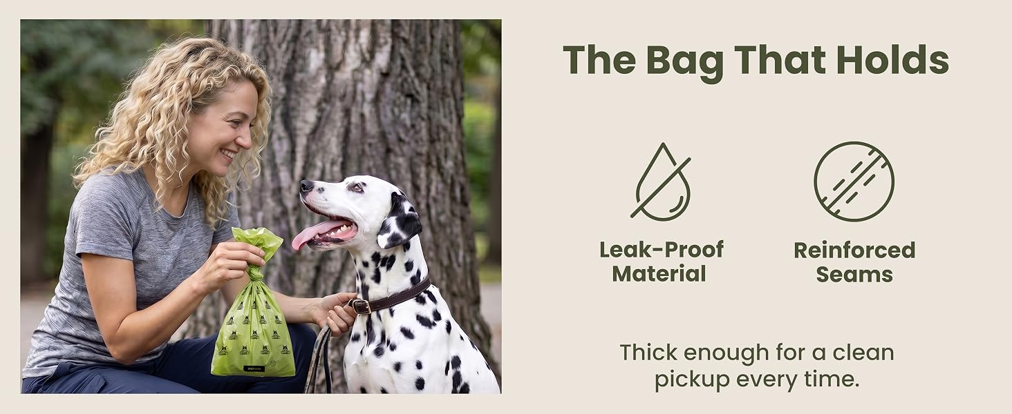 The Bag that holds