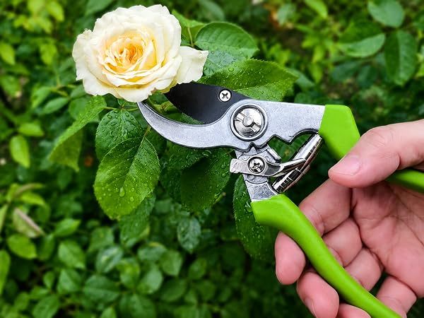 shears