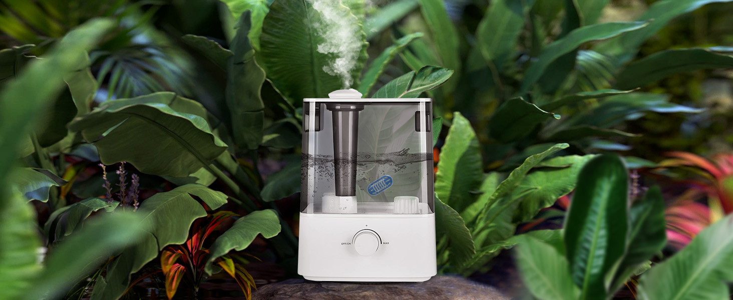 demineralization cartridge for humidifier