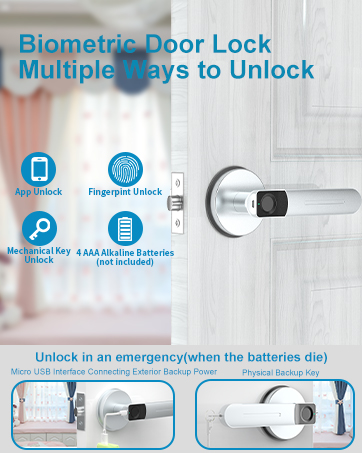 FDA01 fingerprint door lock silver
