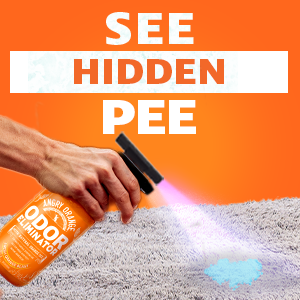 See Hidden Pee