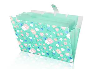 FILE FOLDER