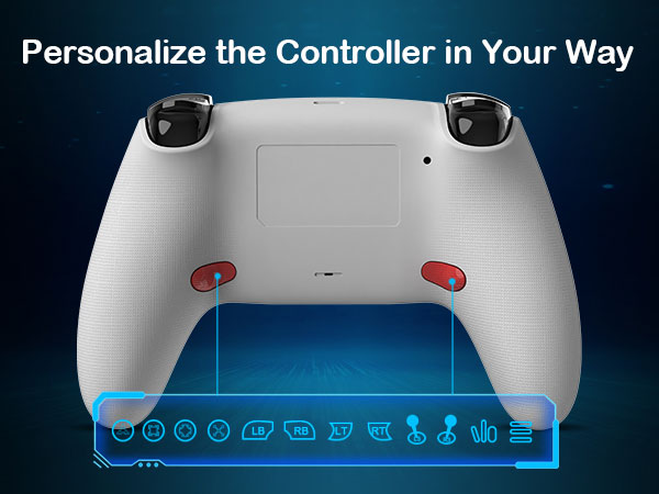 luna compatible controller