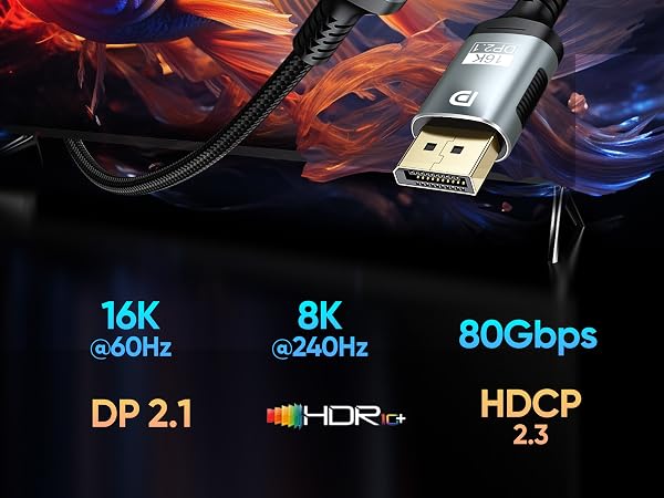 display port 2.1
