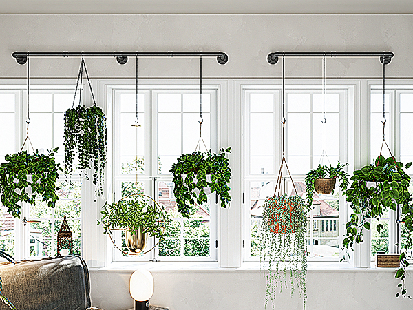 indoor plant hangers