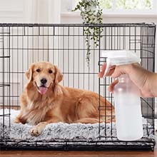 Spray Bottle