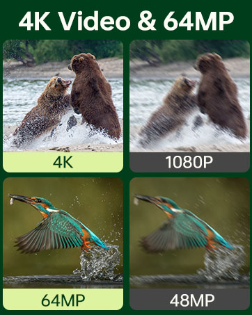 trail camera