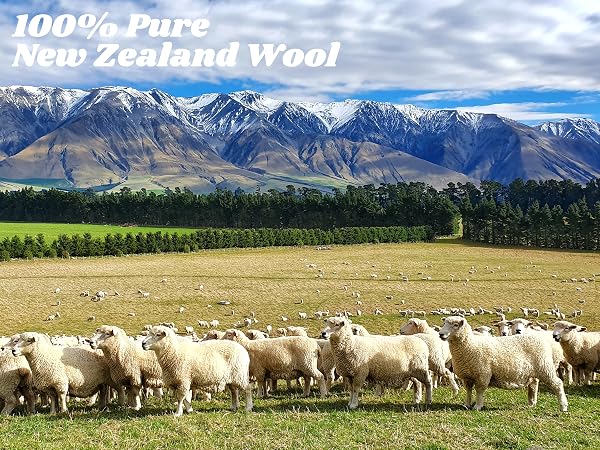 ACTTE Wool Dryer Balls Mobile 2