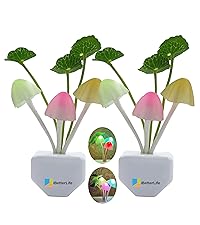 https://m.media-amazon.com/images/S/aplus-media-library-service-media/b16b54d3-3f3a-4387-ac74-05e32a74f681.__CR0,0,2332,2624_PT0_SX200_V1___.jpg