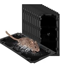 https://m.media-amazon.com/images/I/51sHlJ9m%2B1L.__AC_SR200,225___.jpg
