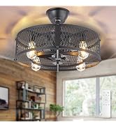 Depuley Outdoor Ceiling Fan with Light: 20" Caged Ceiling Fans with Remote App Control for Patio ...