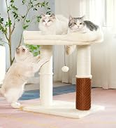 cat tree