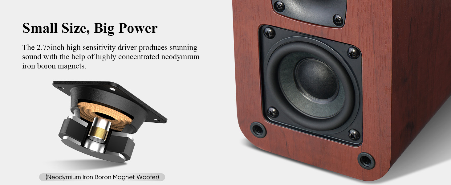 Bookshelf Speakers