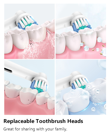 Toothbrush Heads