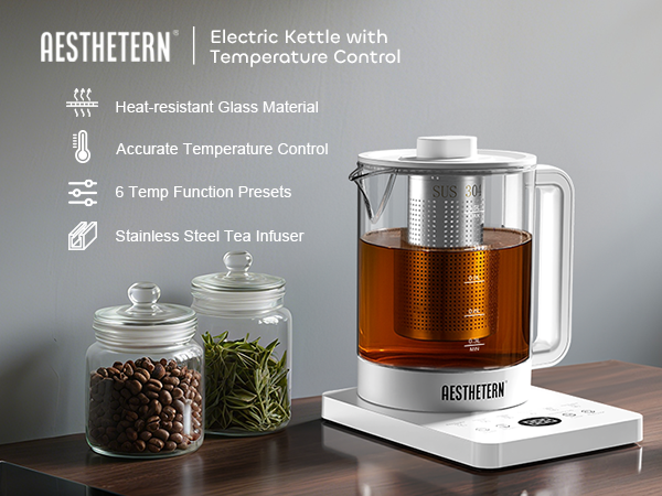electric kettle with temperature control