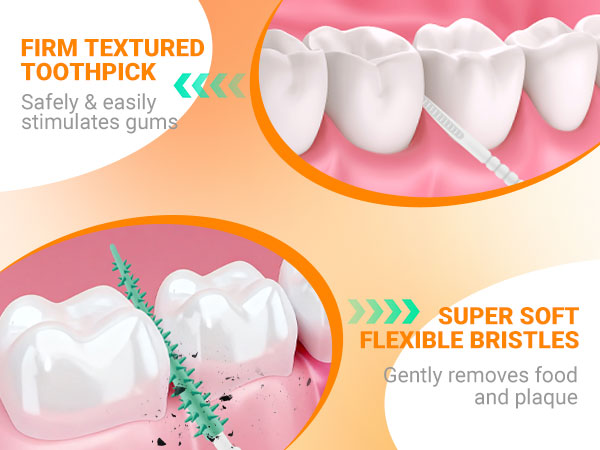 Portable Travel Dental Care Kit