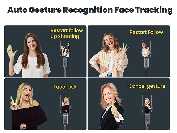 Auto Gesture Recognition
