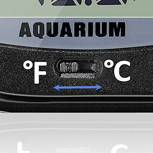 digital thermometer