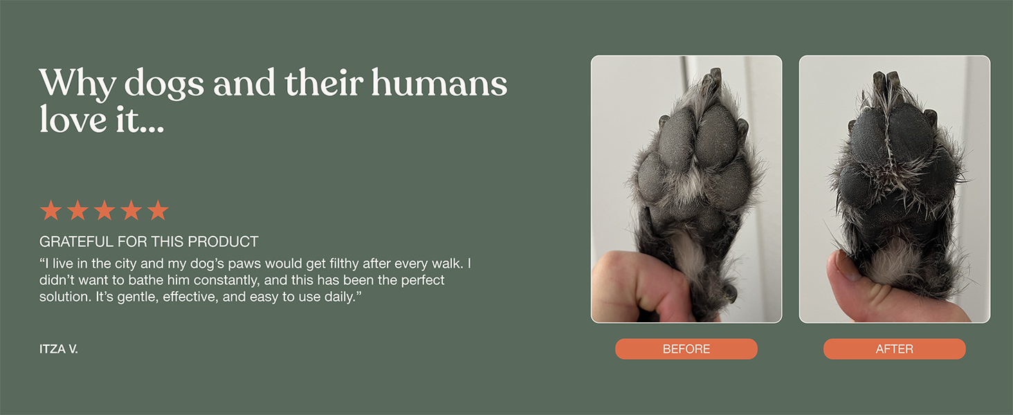 Dandylion Reviews: Why dogs and their humans love it...