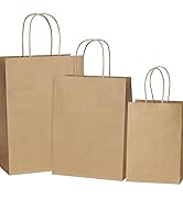 SHOPDAY 45Pcs Brown Paper Bags with Handles, Assorted Sizes Gift Bags Bulk Kraft Paper Bags 5x3x8...