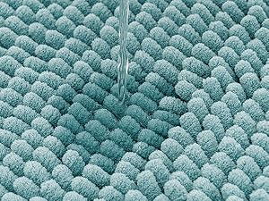 bathroom rug