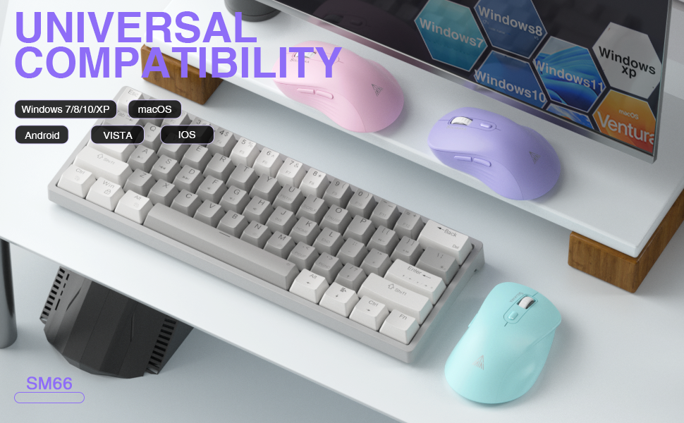 SM66 wireless mouse