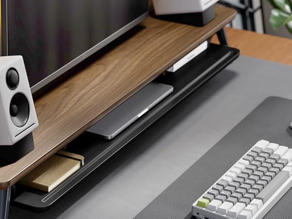 Dual Monitor Stand