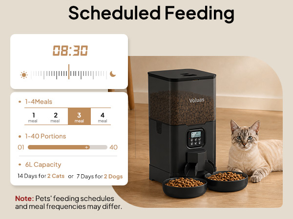 Voluas Automatic Cat Feeder for Two Cats