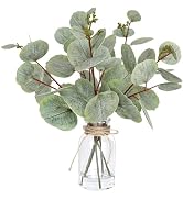 Muhanjia Artificial Eucalyptus Stems in Glass Vase with Faux Water,5Pcs Fake Plant with Double-Si...