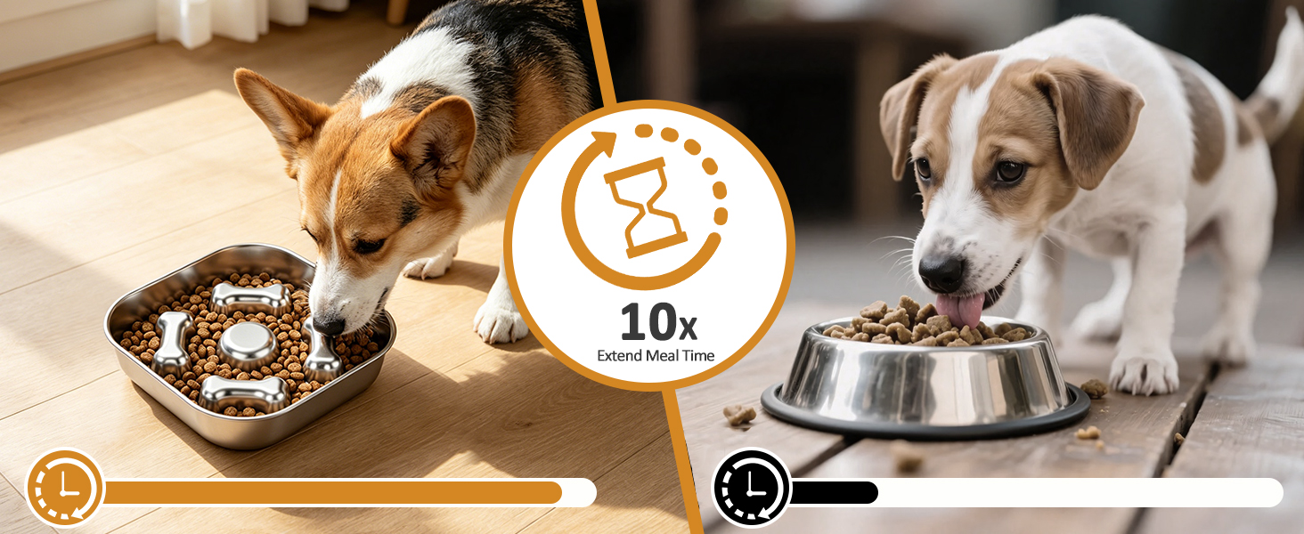 dog slow feeder