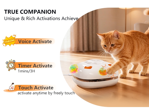 Interactive cat toy