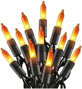 Orange Halloween Lights for Outdoor Indoor Decorations, 20FT 100 Count Incandescent Mini String L...