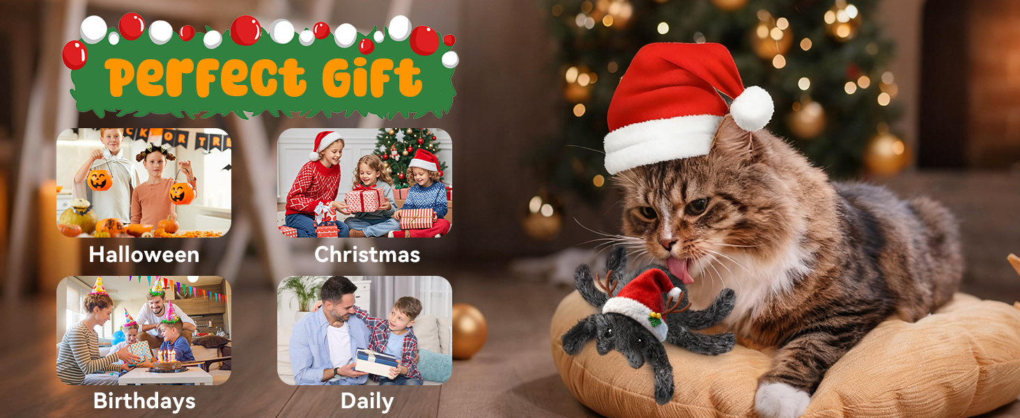 cat toys