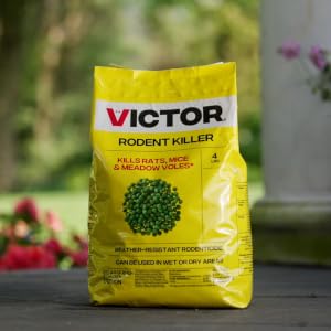 Victor Rodent killer effectively kills rats, mice, and meadow voles