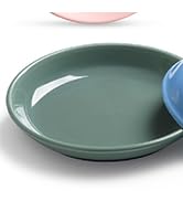 WROSWT Colorful Cat Food Bowl,Non-Slip Silicone Bottom Cat Bowls for Indoor Cats,Anti Whisker Fat...