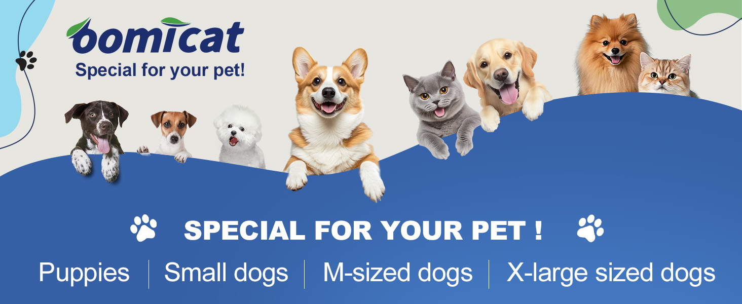 Pet Supplies