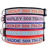 GoTags Reflective Personalized Dog Collar, Custom Embroidered with Pet Name and Phone Number in P...