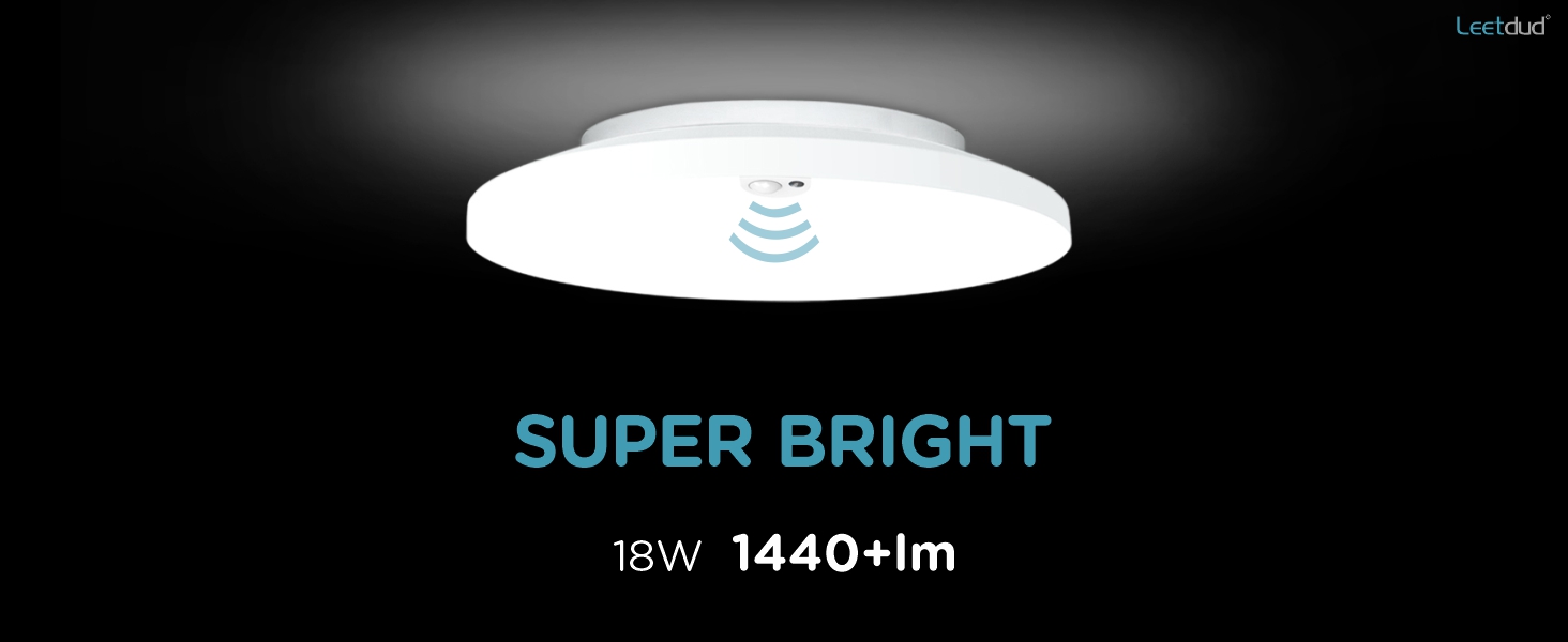 motion sensor light