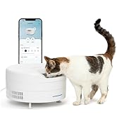PetSafe FreshFeed Refrigerated Pet Feeder Automatic Wet Food Feeder for Cats & Small Dogs App Con...