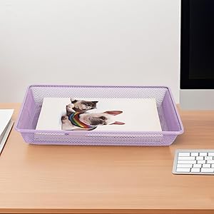 Metal Paper Tray