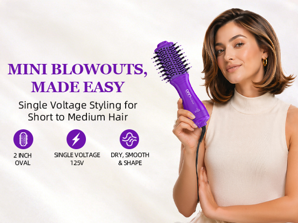 Blow Dryer Brush