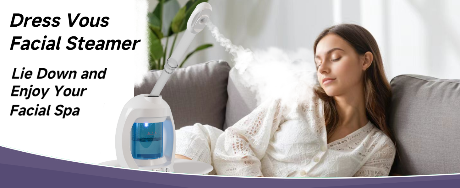 face steamer