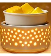 EQUSUPRO Ceramic Wax Melts Warmer–Electric Candle Wax Warmer for Scented Wax PTC Heating 5-in-1 N...