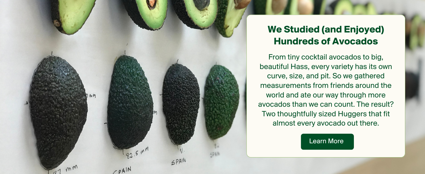 We Studied (and Enjoyed) Hundreds of Avocados
