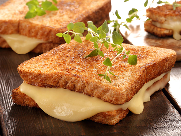 panini toaster and grill