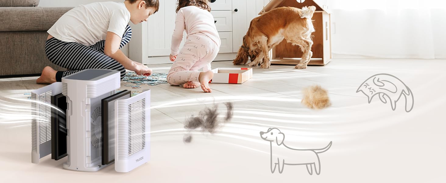 Air Purifier for Home