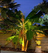 solar spotlights warm white