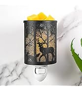 EQUSUPRO Metal Wax Melts Warmer Plug in Wall Pluggable Fragrance Wax Warmer with Removable Dish, ...