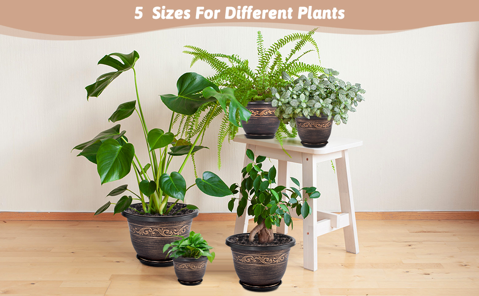 flower pot
