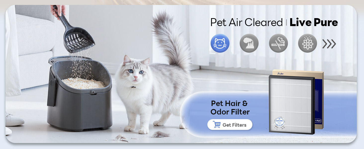 air purifier